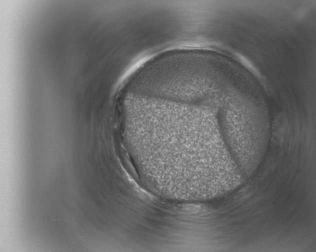 X0000080161456200612302141