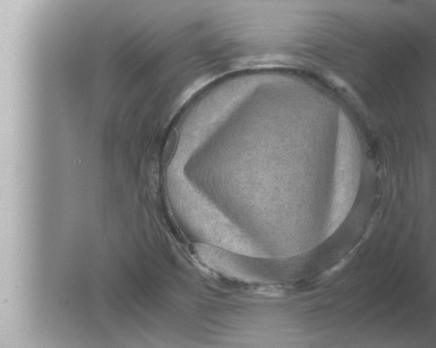 X0000080161457200612302141