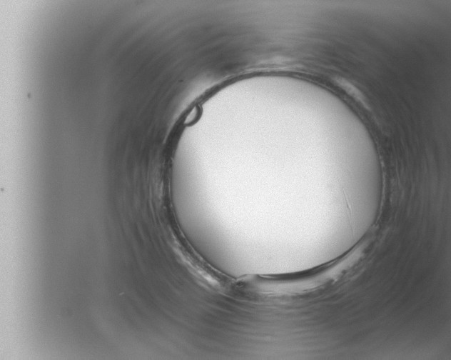 X0000080161458200612302141