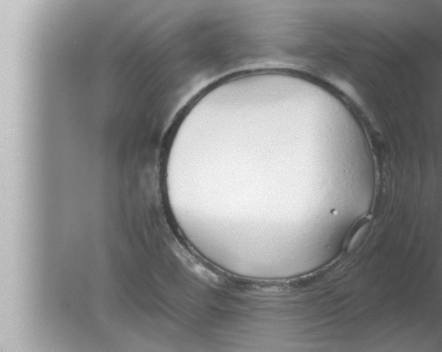 X0000080161460200612302141