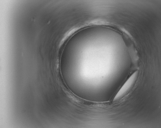 X0000080161461200612302141