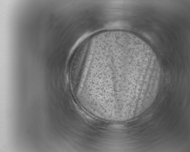 X0000080161462200612302141