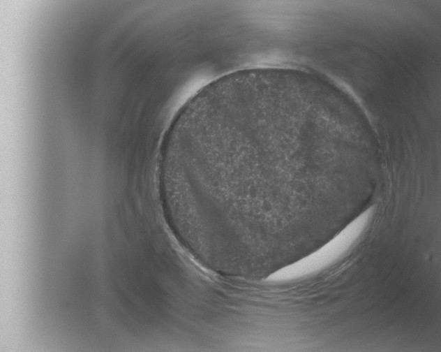 X0000080161463200612302141