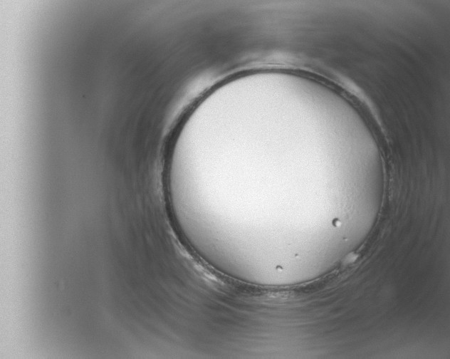 X0000080161464200612302141