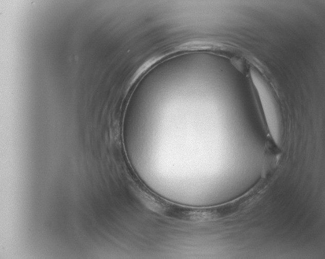 X0000080161465200612302141