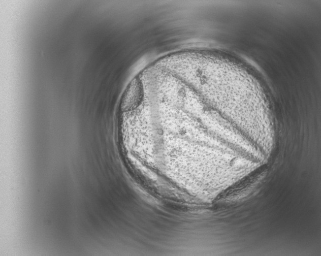 X0000080161467200612302141