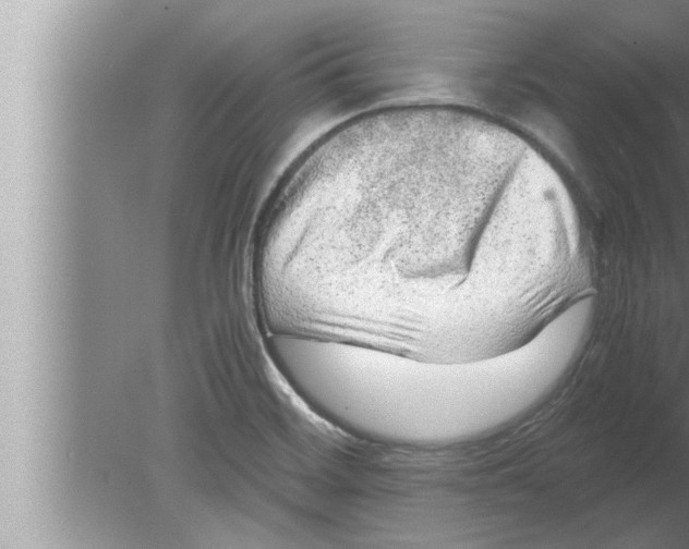 X0000080161468200612302141