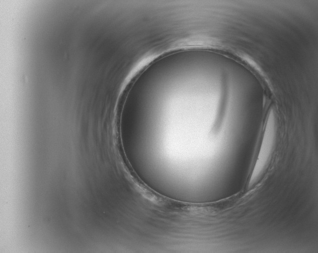 X0000080161469200612302141