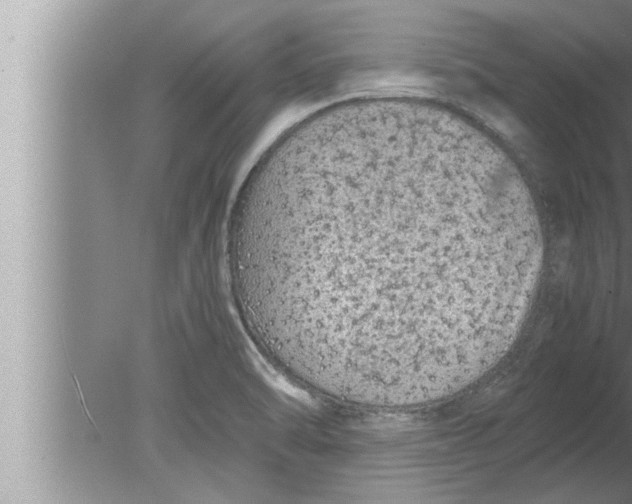 X0000080161470200612302141