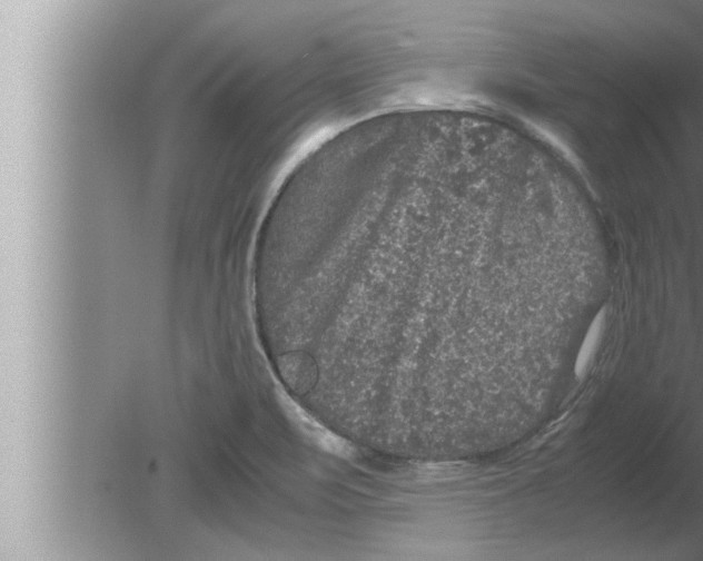 X0000080161471200612302141