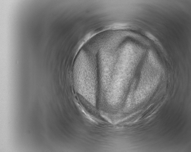 X0000080161473200612302141