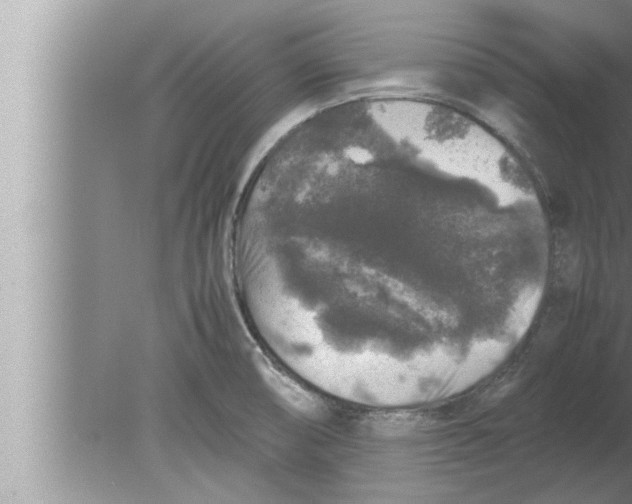 X0000080161474200612302141