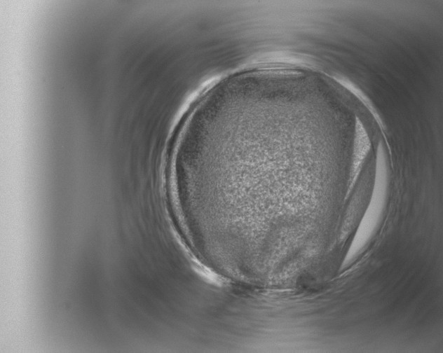 X0000080161477200612302141