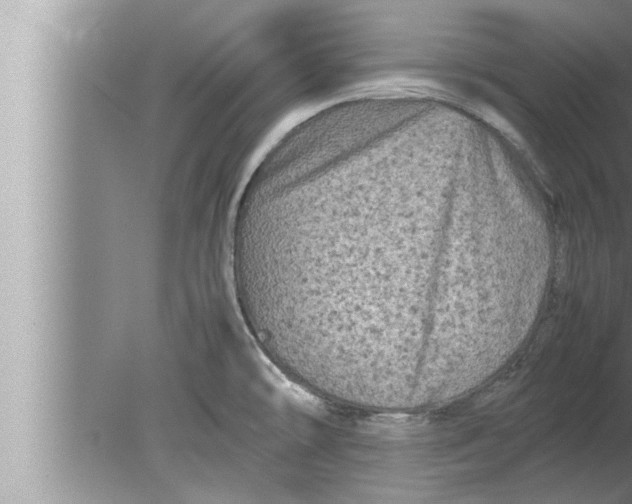 X0000080161478200612302141