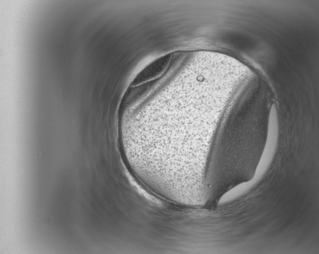 X0000080161479200612302141