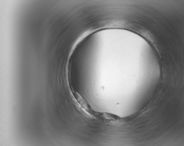 X0000080161480200612302140