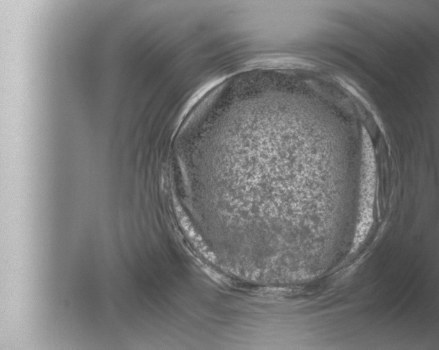 X0000080161481200612302140