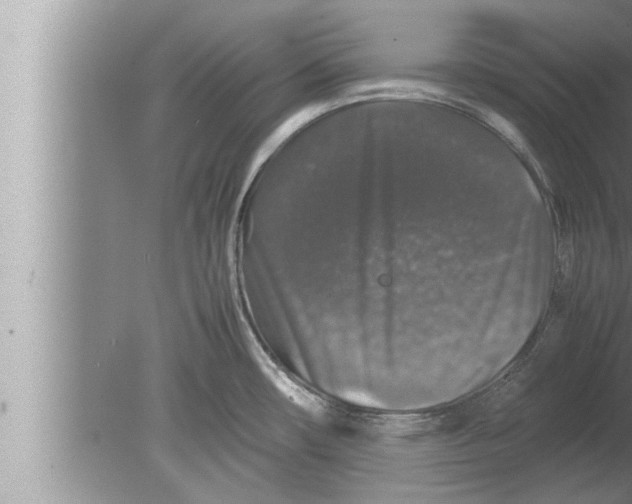 X0000080161482200612302140