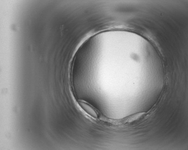 X0000080161483200612302140