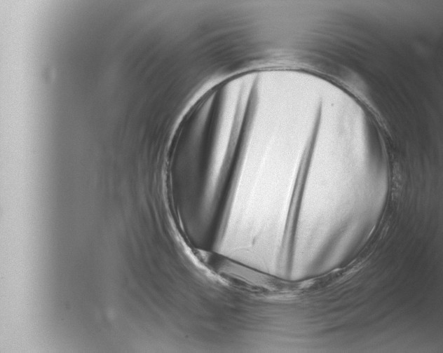 X0000080161484200612302140