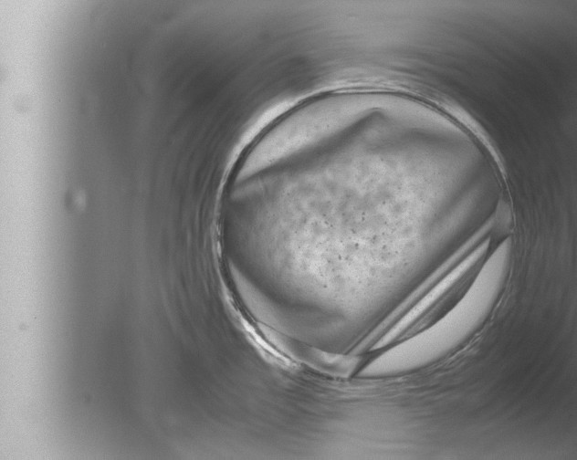 X0000080161485200612302140