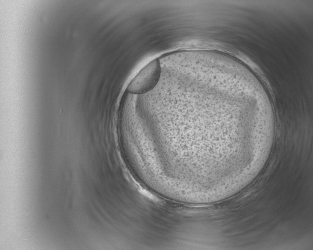 X0000080161486200612302140