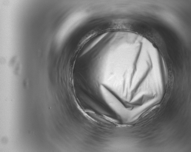 X0000080161487200612302140