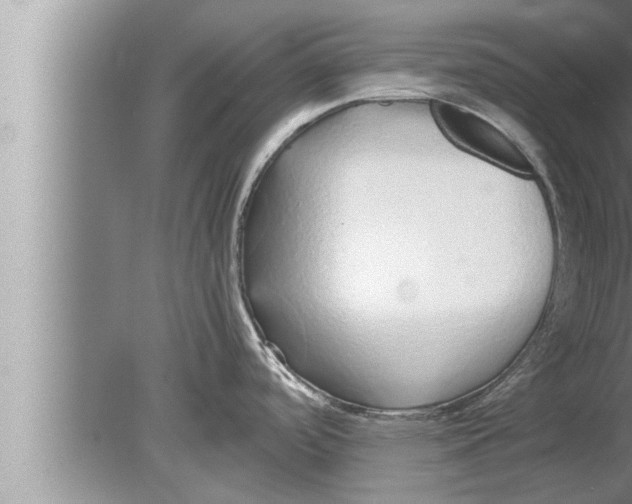 X0000080161488200612302140