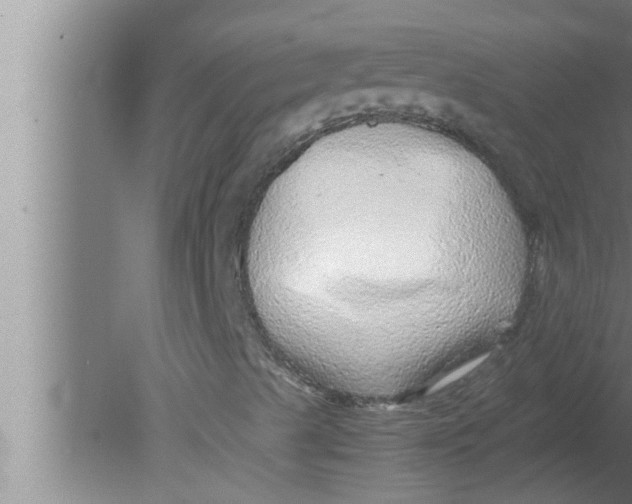 X0000080161489200612302140