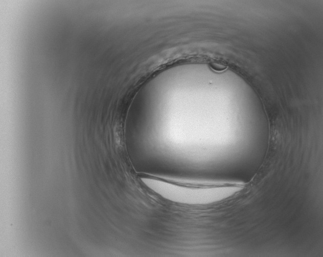 X0000080161490200612302140