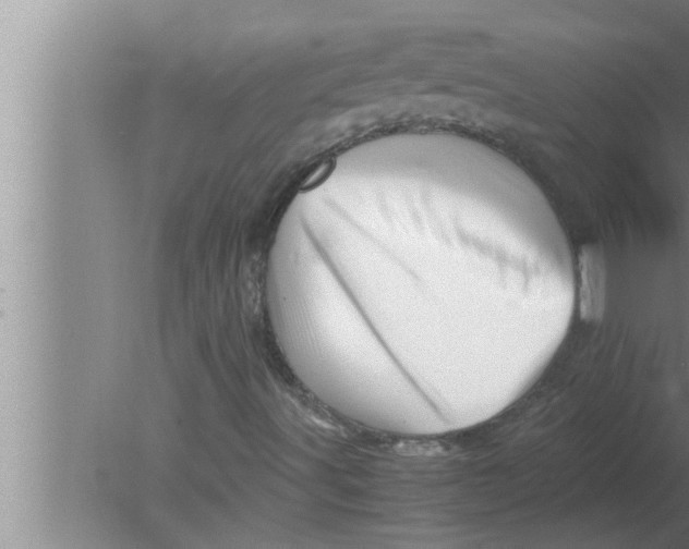 X0000080161491200612302140