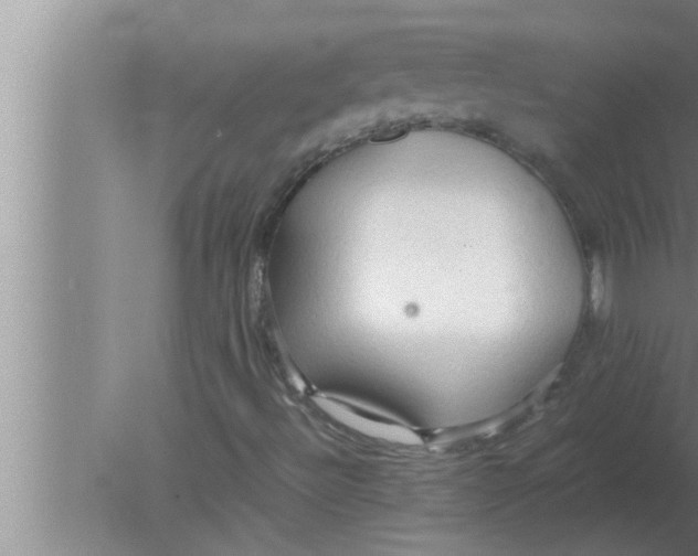 X0000080161492200612302140