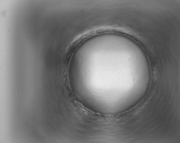 X0000080161494200612302140