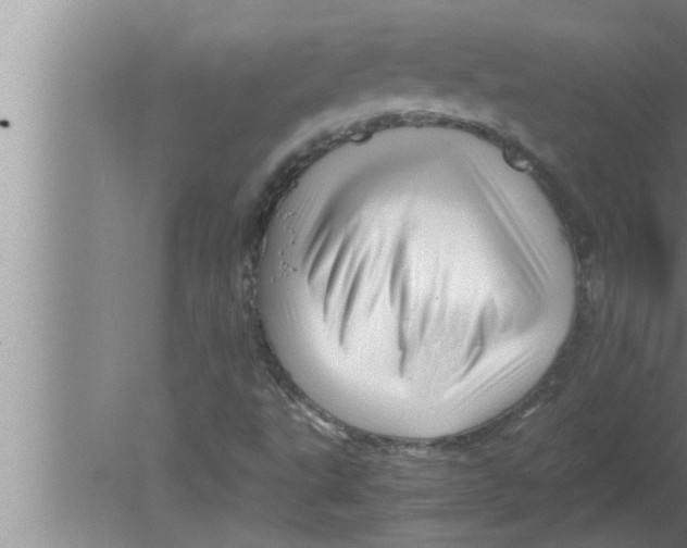 X0000080161495200612302140