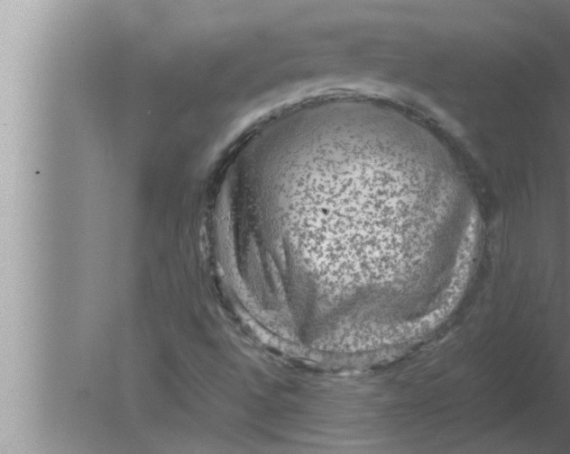 X0000080161496200612302140