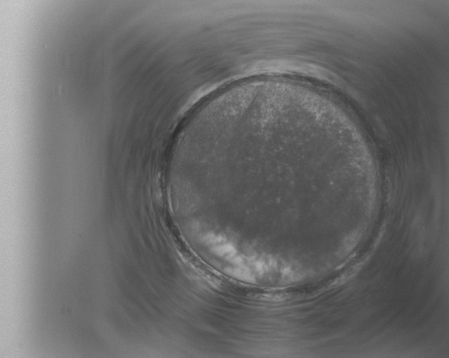 X0000080161497200612302140