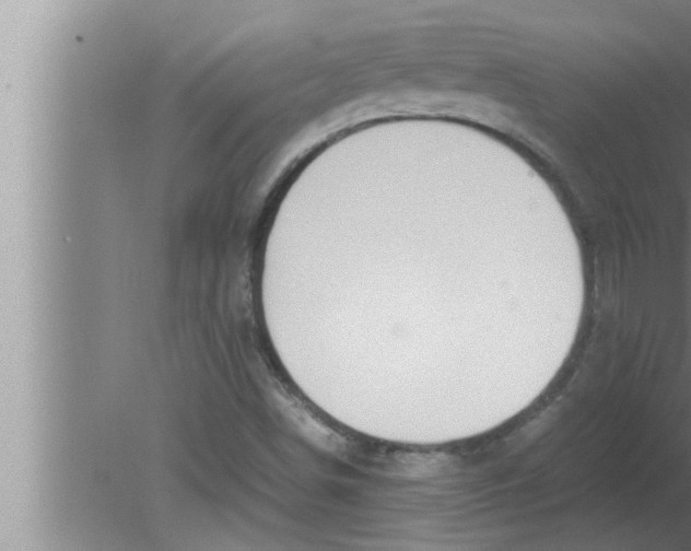 X0000080161498200612302140