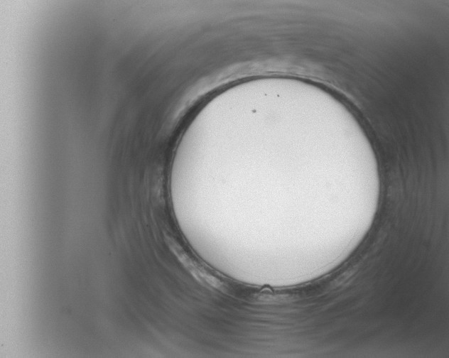 X0000080161499200612302140