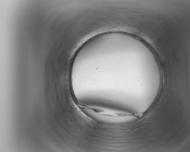 X0000080161500200612302140