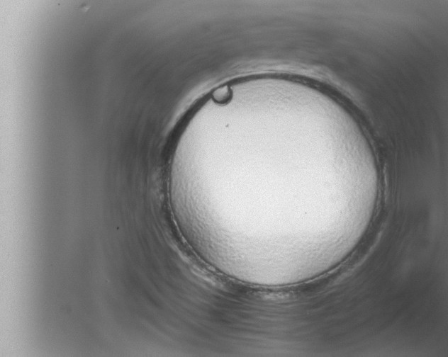 X0000080161501200612302140