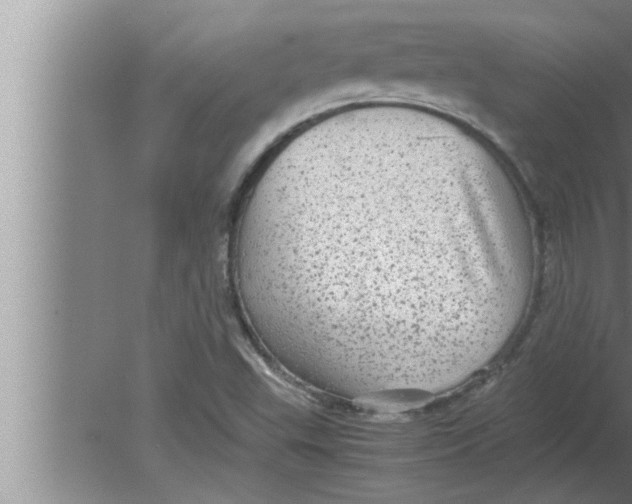 X0000080161503200612302140