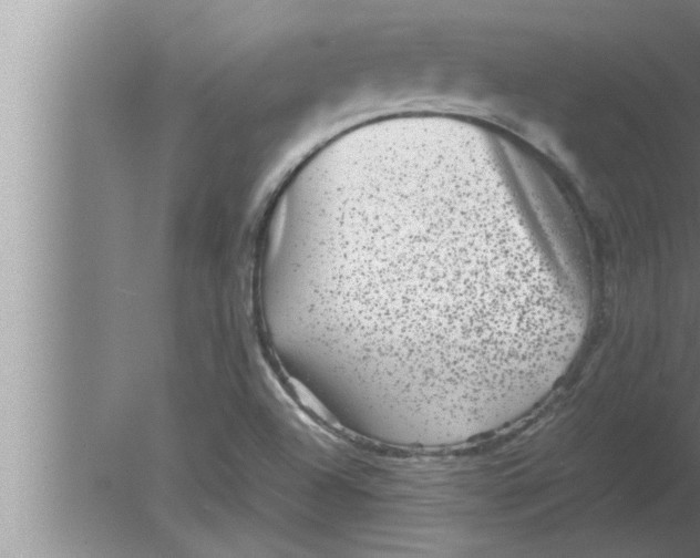 X0000080161504200612302140