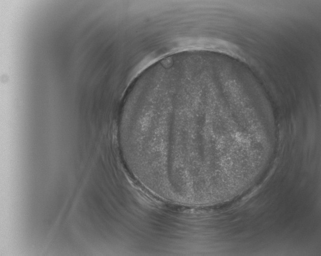 X0000080161505200612302140