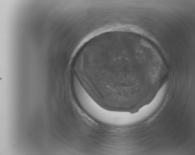 X0000080161506200612302140