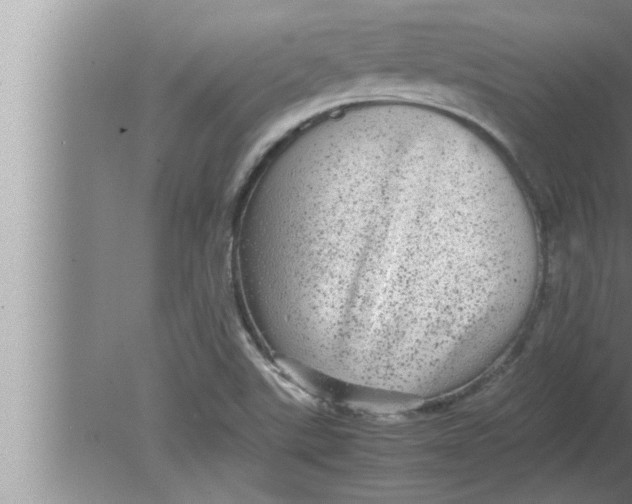 X0000080161507200612302140