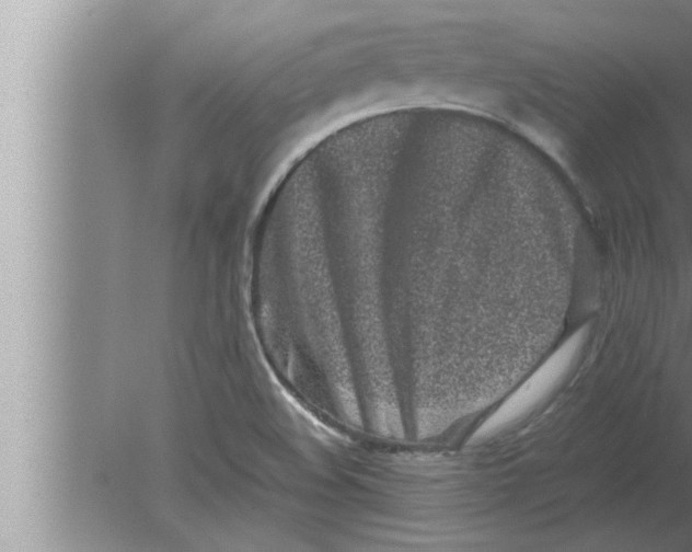 X0000080161508200612302140