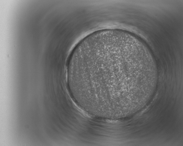 X0000080161509200612302140