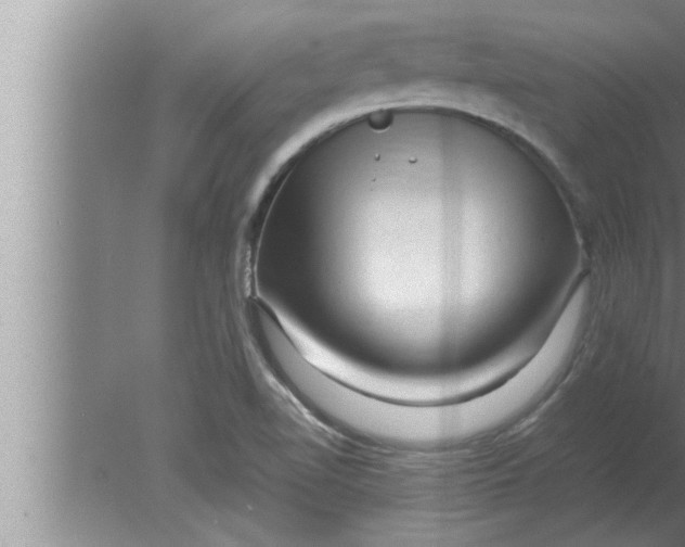 X0000080161510200612302140