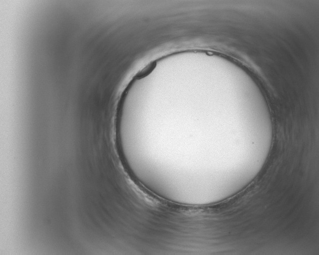 X0000080161512200612302140