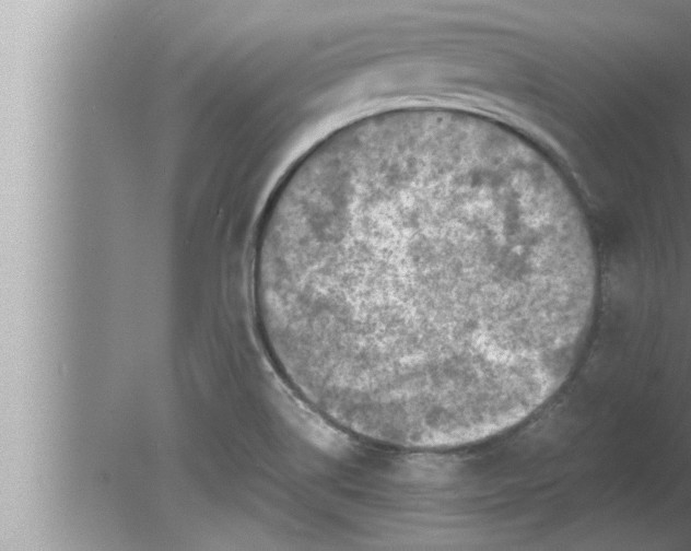 X0000080161514200612302140